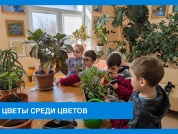 Цветы среди цветов